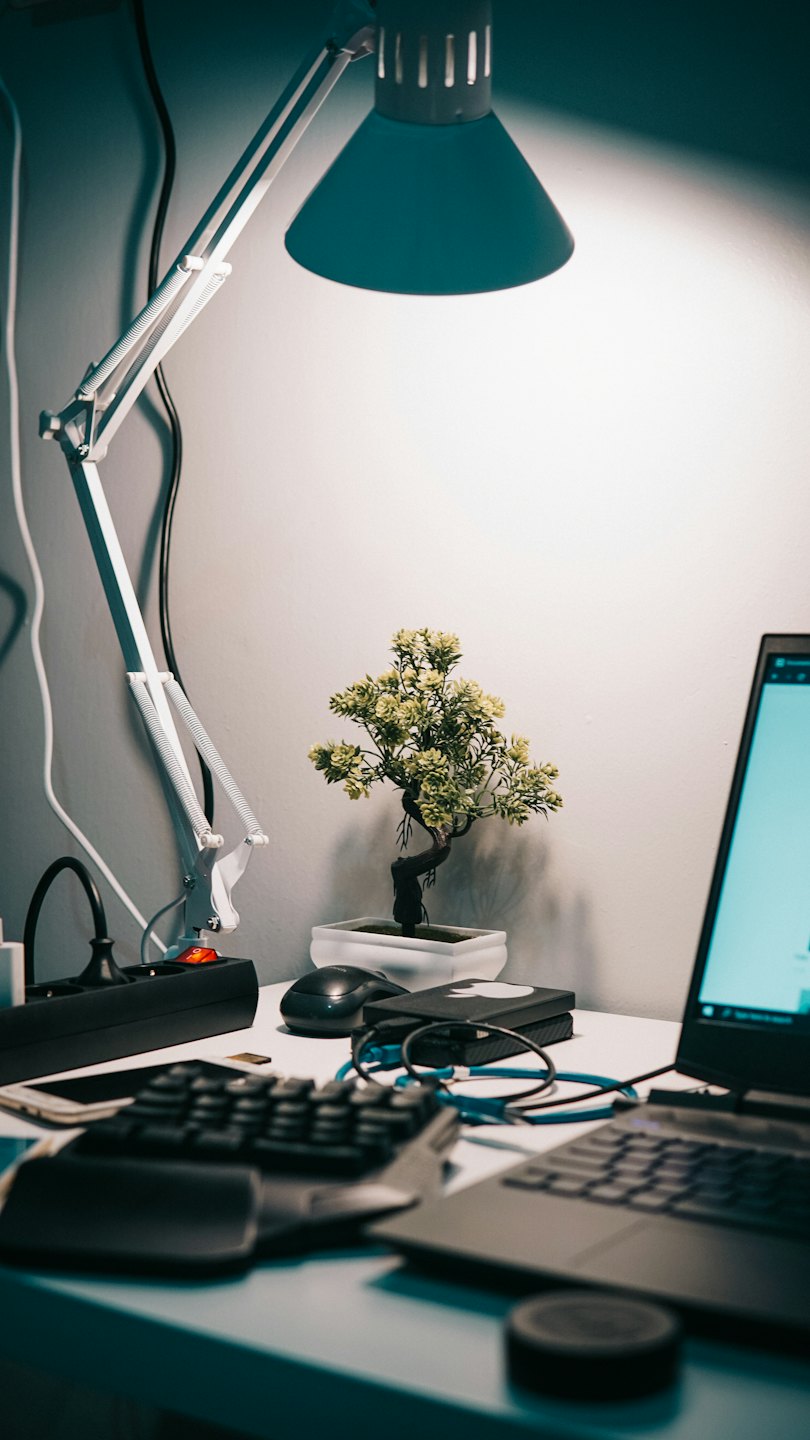 Una lampada da scrivania illumina un bonsai su una postazione di lavoro.