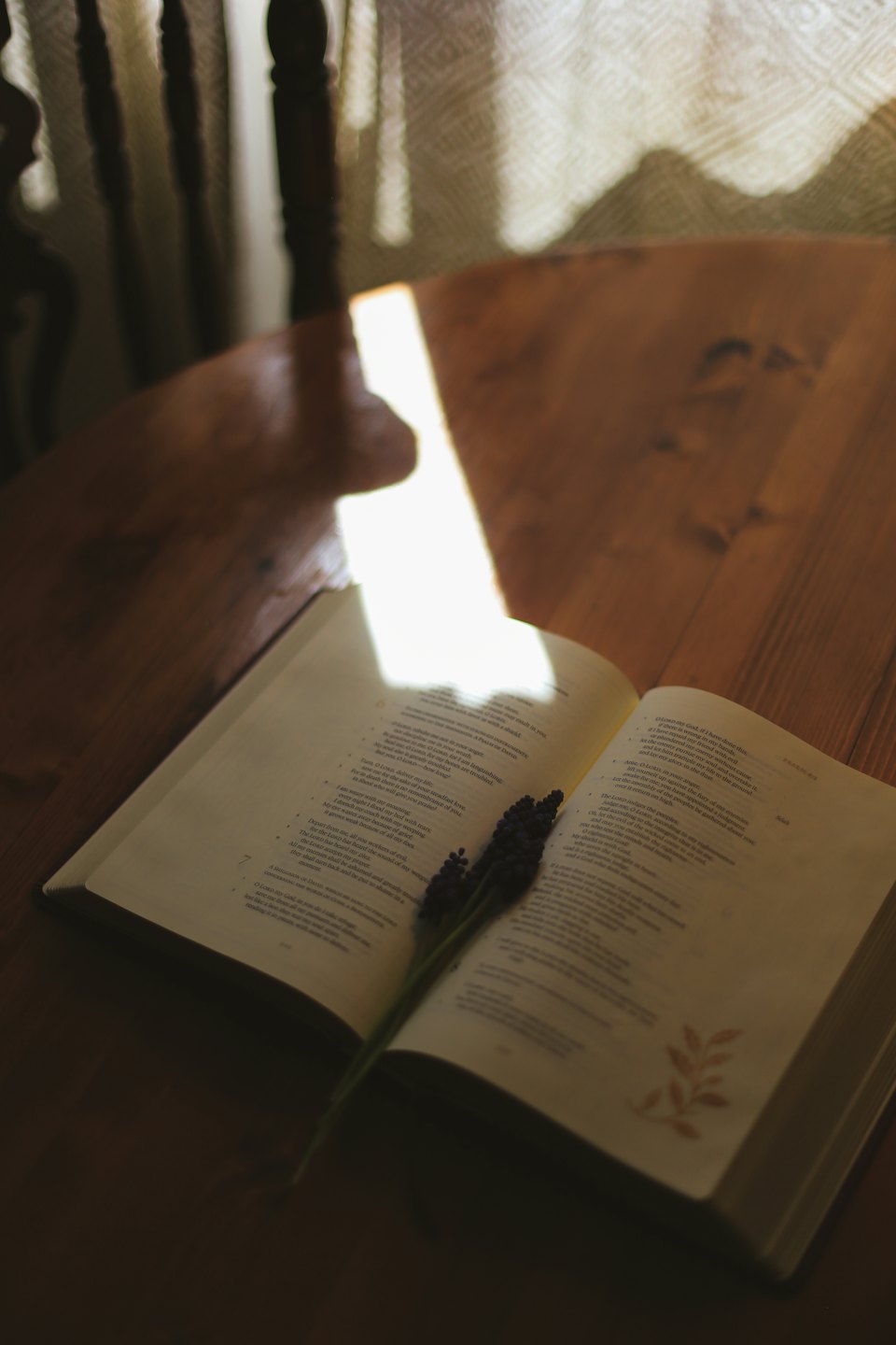 Un piccolo rametto di fiori viola posato su un libro aperto.